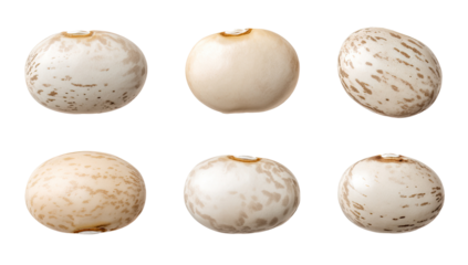 Six round, light beige beans, mottled with darker spots