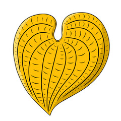 Yellow heart shaped leaf