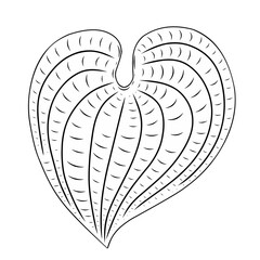 Obraz premium illustration of a leaf