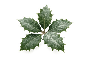 Fototapeta premium Holly leaf with snow on transparent background
