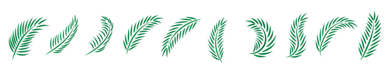 palm sunday vector