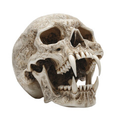 Naklejka premium The Enigmatic Skull: The macabre skull of an unknown creature reveals its formidable canines, an emblem of mortality and mystery.