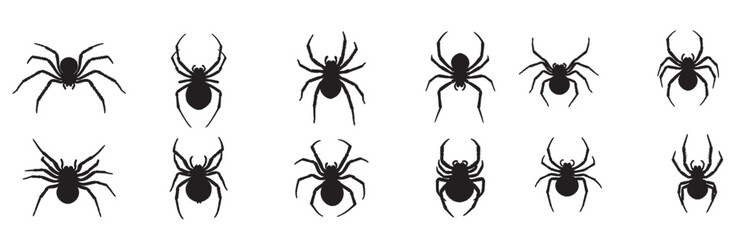 spider silhouette white background