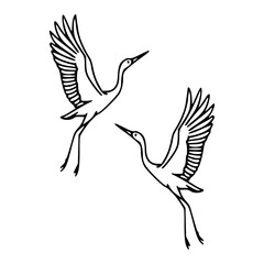Japanese/Asian cranes couple drawing