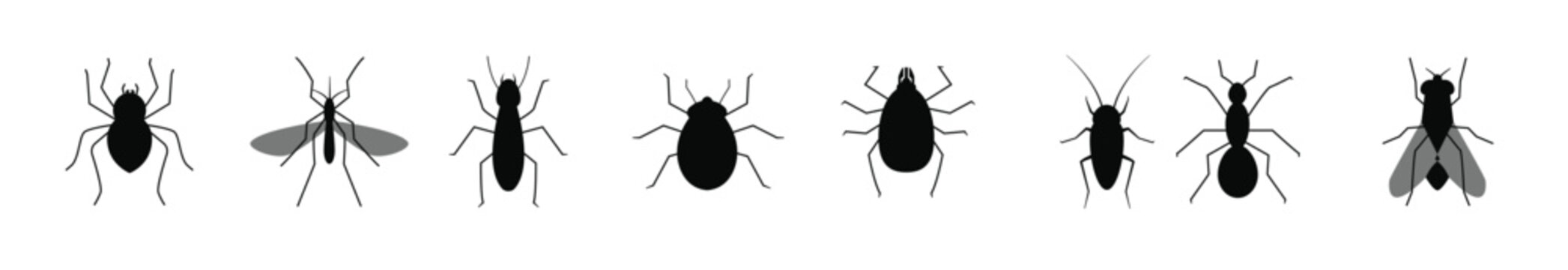 Termite Vector