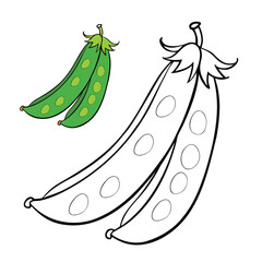 A fun green beans coloring page showing long, slender pods with seeds inside. Kids can color them in shades of green while learning about healthy vegetables.
