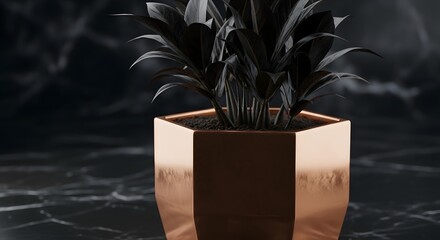 An elegant houseplant with dramatic dark leaves is potted in a modern, geometric copper planter. This sophisticated decor piece sits on a luxurious black marble surface, creating a moody, opulent vibe