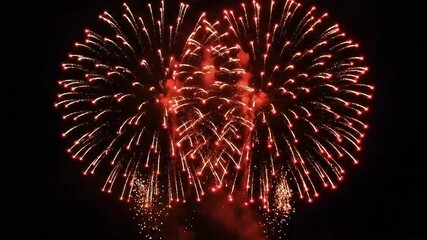 Bloom of firework with dark background, new year firework.