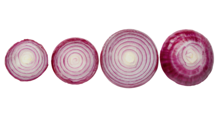 Cross-sections of red onions