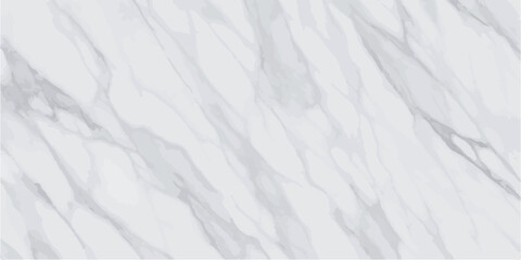 Abstract Grey Scale Topographic Map Background with Contours Showing Elevations and Terrain Features for Cartography and Geodesy Visualizations