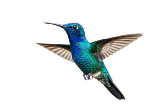 A vibrant blue and green hummingbird in flight, with wings spread and beak pointed forward, isolated on transparent background