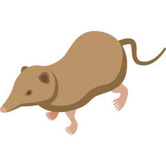 Illustration of a small tan mammal with a long snout and tail walking on a transparent white background isolated