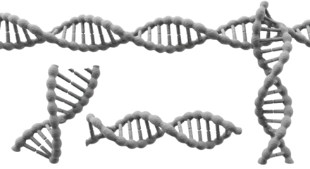3D rendered illustration of various DNA double helix strands in gray, scientific and genetic concept, perfect for medical and educational projects