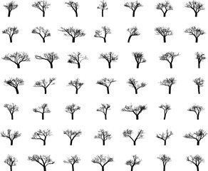 Hand made Collection of bare tree silhouettes diverse shapes and forms vector illustration By illustrator