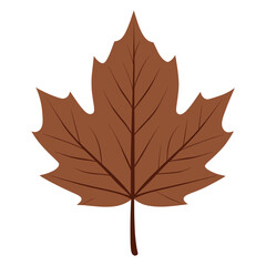 Obraz premium Brown maple leaf illustration simple autumn vector