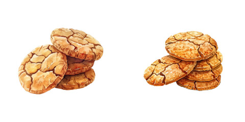 ginger molasses cookies watercolor vector illustration