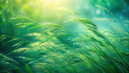 Serene Meadow Sunlight Illuminates Vibrant Green Blades Gently Swaying in a Summer Breeze
