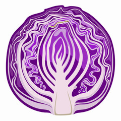 Obraz premium Close up sliced or cut fresh purple or red cabbage in a half, top view flat lay to present surface and texture of cabbage use for background or wallpaper.