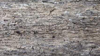 A detailed, horizontal close-up of extremely dry and weathered wood or tree bark, characterized by fine, horizontal fractures, deep texture, and a pale, bleached gray-brown color with dark accents.