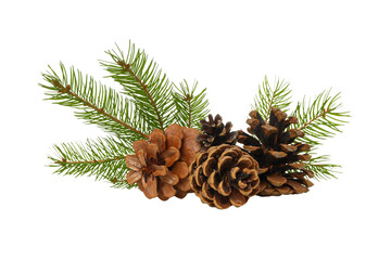 Natural elements perfect for festive holiday decoration, on white, PNG
