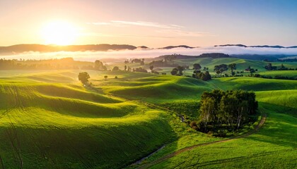 Fototapeta premium panorama of a beautiful, ecological farmland at sunrise. Waved, green field, forest and morning fog