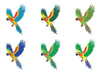 A brightly colored Marko parrot in a multi-colored flight pose.