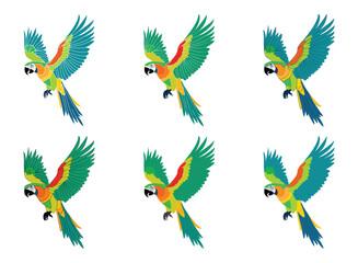 Obraz premium Blue, green, red macaw parrot vector illustration