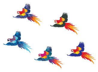Flying macaw parrot vector illustration