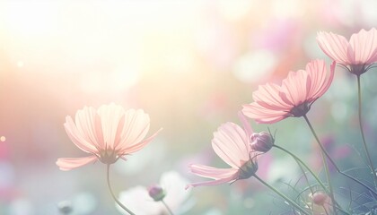 Dreamy Floral Scene with Pastel Background and Light Effects