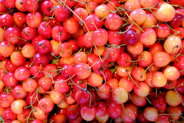 Cherries for sale at a market. France.
