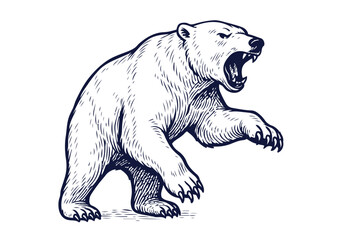 Polar Bear hand drawn simple engraved vector illustration
