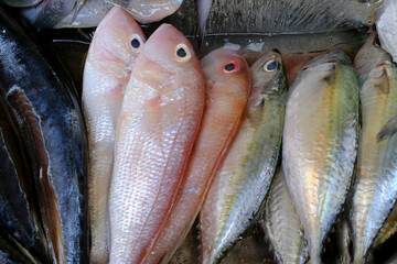 Fresh fish for sale in local market. Ho Chi Minh city. Vietnam.