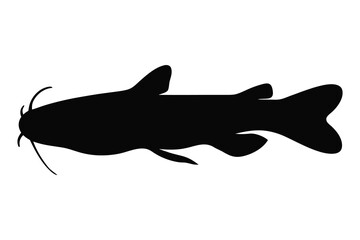 Catfish silhouette vector, Catfish black silhouette
