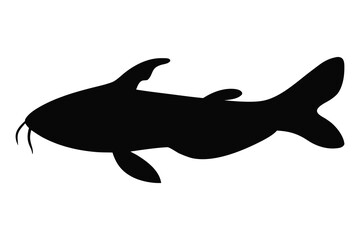 Fototapeta premium Catfish silhouette vector, Catfish black silhouette 