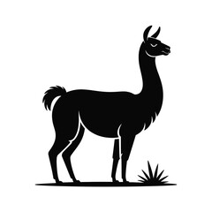 Obraz premium Stylized silhouette of a llama standing in grass