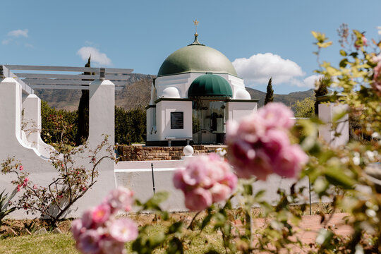 Pink Roses in a sanctuary space