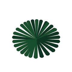 Stylized Plan View Icon of Tropical Foliage or Fan Palm Leaf