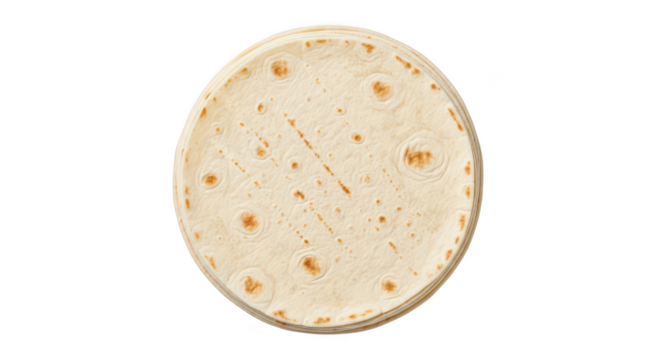 Stack Of Fresh Flour Tortillas On Black Background
