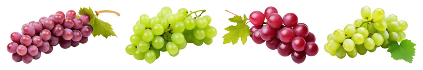 Fototapeta premium PNG Colorful grapes on vine, element set on transparent background