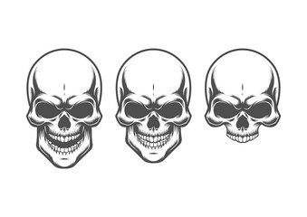 Three Skulls with Different Expressions human skull