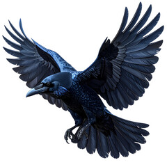 Fototapeta premium Black vector illustration of a wild eagle in flight with powerful wings and a majestic silhouette against the sky