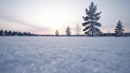 A snow-covered landscape with sparse trees and a clear sky, bathed in a soft, diffused light - Powered by Adobe