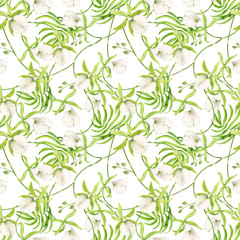Pattern from Exotic Prosthechea maritima, botanical illustration. Seamless background from Branch with green orchid flower. Watercolor illustration of tropical summer flower for textiles, jungle style