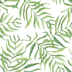 Seamless background of coconut palm leaves. Foliage of tropical plant Dypsis, botanical illustration. Pattern by Greenery for textile and packaging design. Jungle and Caribbean summer style