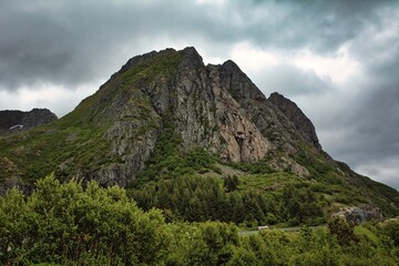 Lofoty- arktyczne lato, surowy klimat za kołem podbiegunowym © Pavlo