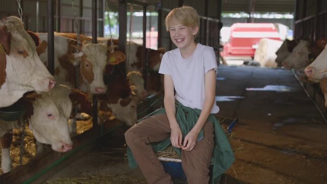 Happy young boy sitting and laughing in a cowshed, surrounded by simmental cattle in a modern dairy farm. Authentic rural lifestyle concept showcasing a new generation of farmers