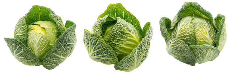 Fototapeta premium Whole green savoy cabbage with textured crinkled leaves isolated on transparent background. Concept of fresh organic vegetables and healthy eating