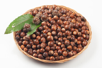  도토리는 떡갈나무, 갈참나무, 졸참나무, 물참나무 따위의 열매를 통틀어 이르는 말
Acorn is a general term for the fruits of oak, hornbeam, ash, and other trees.
