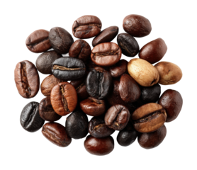 Coffee beans varieties coffee shop isolated on transparent background