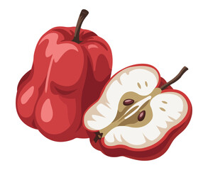 A illustration depicting a whole and halved rose apple fruit